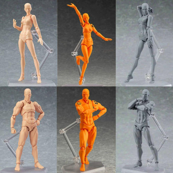 Body Kun Chan (Male or Female) Anime Models