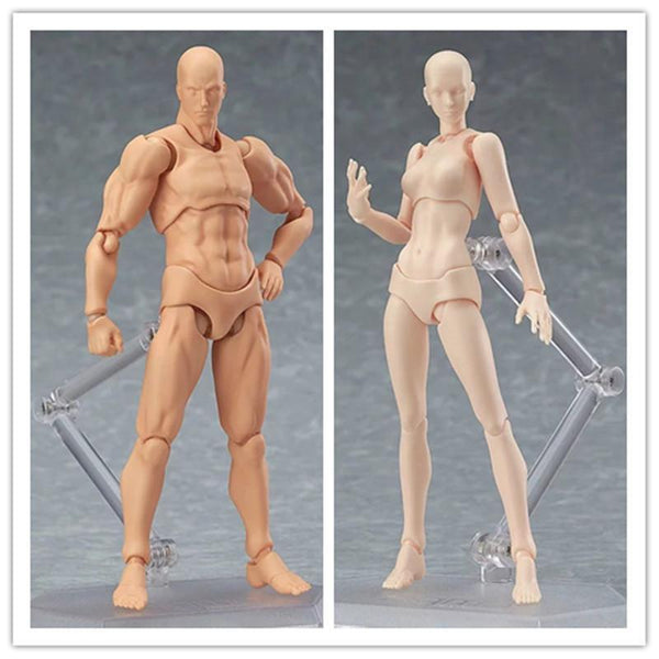 Body Kun Chan (Male or Female) Anime Models