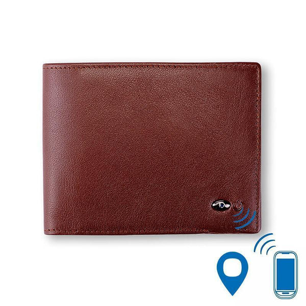 Smart Wallet with GPS