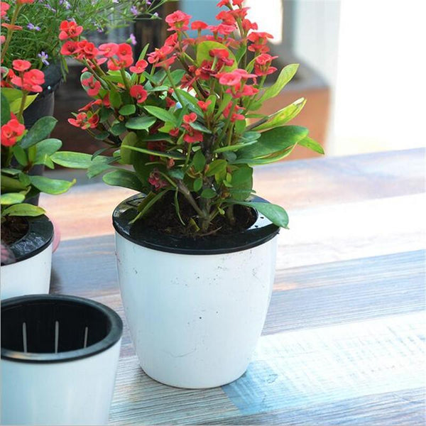 Magic Self Watering Flower Pot