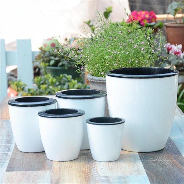 Magic Self Watering Flower Pot