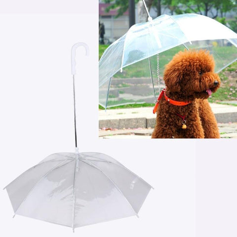 Dog Umbrella