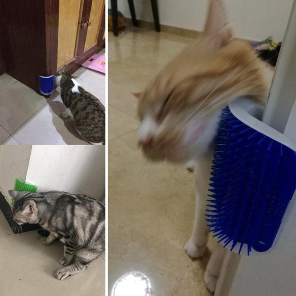 Cat Self Groomer