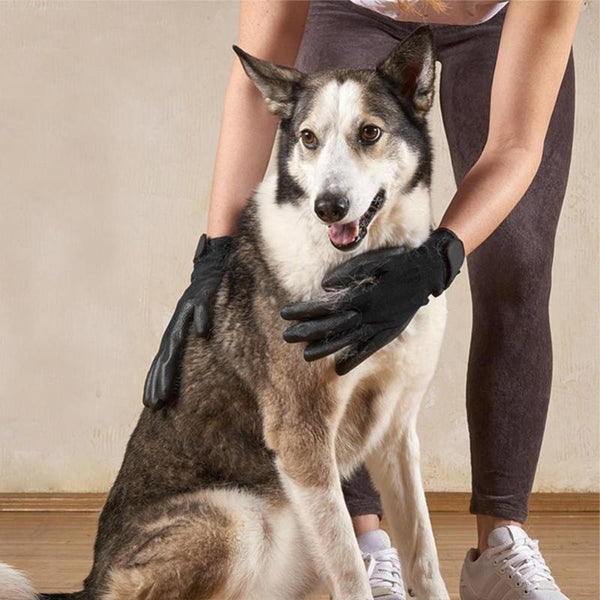 Pet Grooming Gloves For Cats, Dogs & Horses - Long & Short Fur